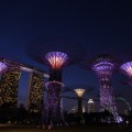 Singapore 2013 Vol.2 ガーデンズ・バイ・ザ・ベイ