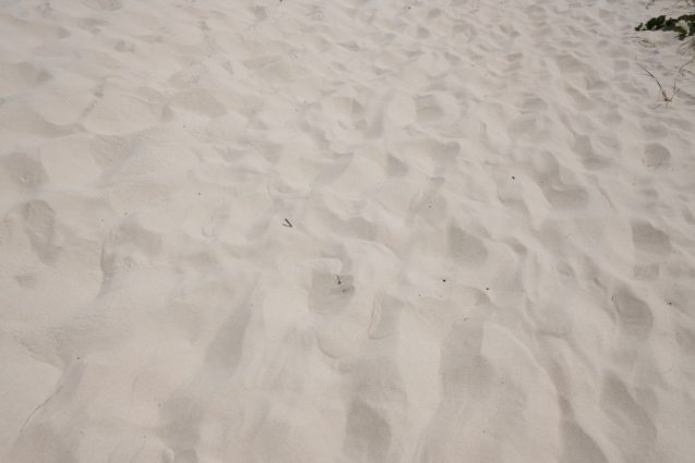 ゴールドコーストのノースキラビーチの砂。目が細かい砂。
